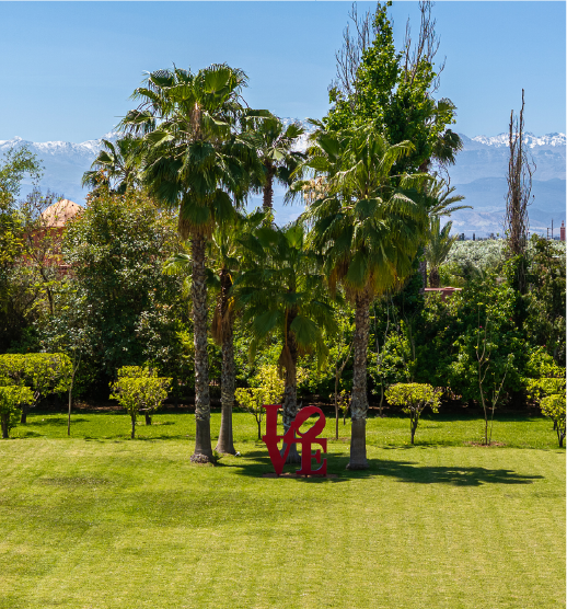 Arbres et palmiers dans un jardin à Rabat