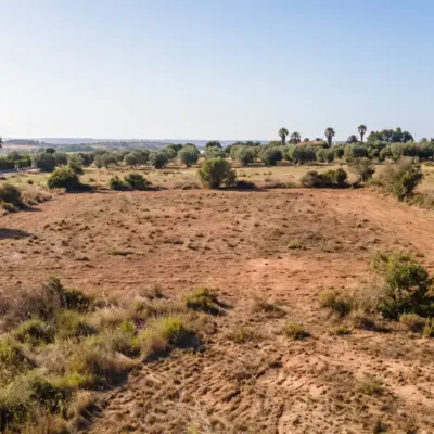 Terrain résidentiel à vendre à Rabat dégagé et entouré d'oliviers