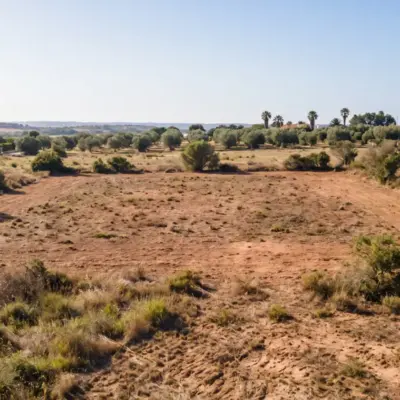 Terrain résidentiel à vendre à Rabat avec oliviers et vue sur la campagne