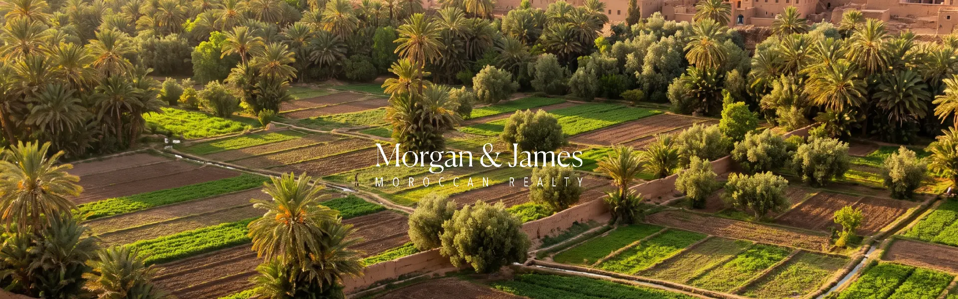 Prix terrains agricoles Maroc – oasis de palmiers avec parcelles cultivées près d'une kasbah