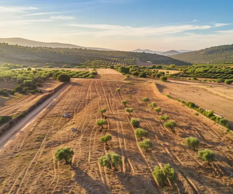 Vue aérienne par drone d'un terrain à vendre à Marrakech.